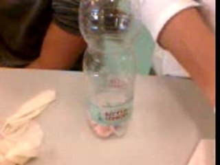 dissection d'un oeil