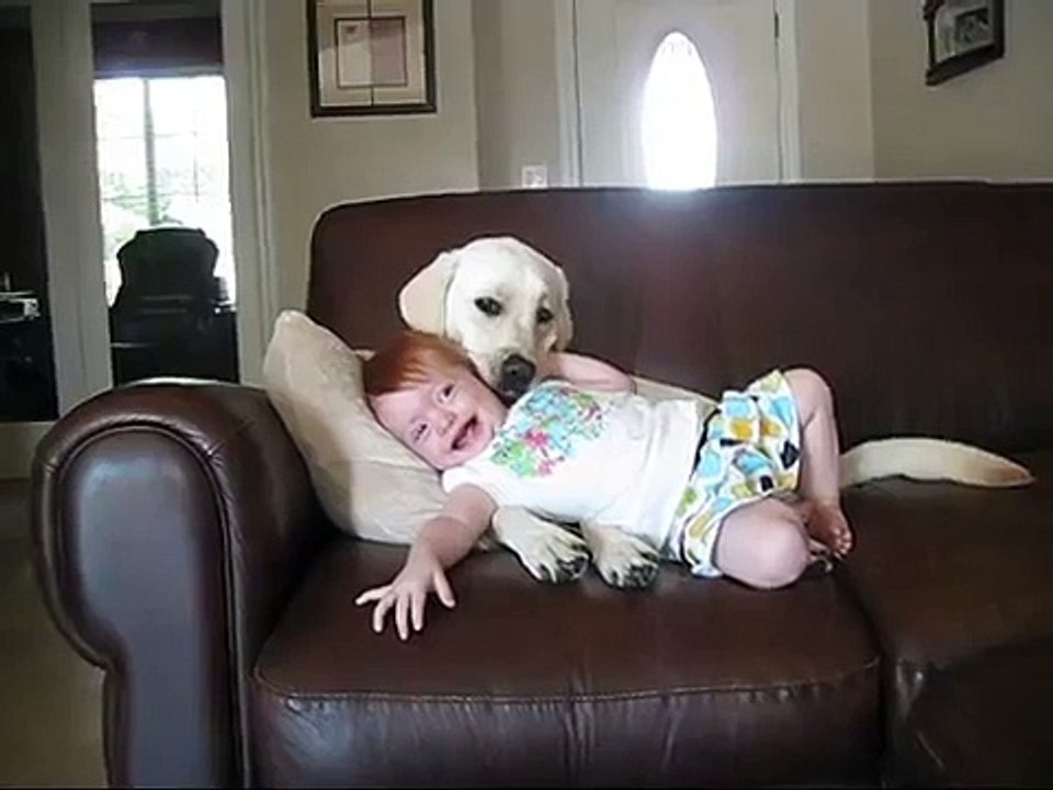 If you like cute dog amp baby stuff, you ll love this..