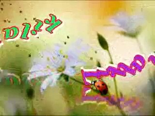 Dhol Mahia Chad Parian - Talib Hussain Dard