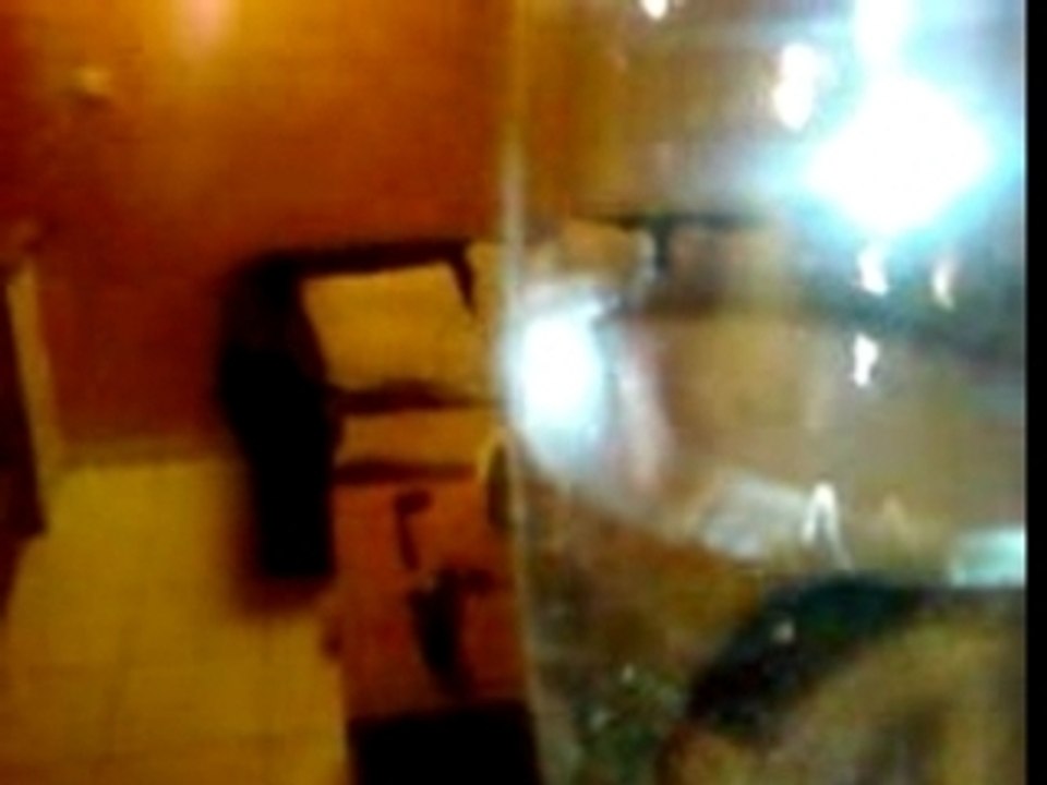 La guerre des mondes