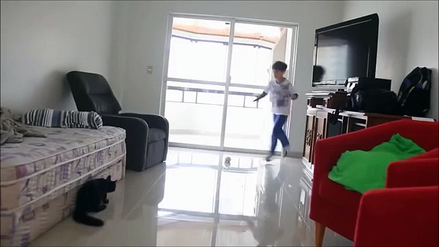 Кот-вратарь. У кота хорошая реакция