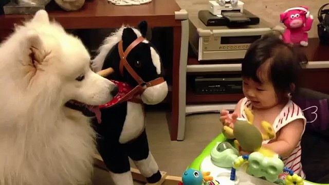 Коты, псы и дети - Забавные животные и дети