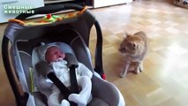 고양이는 처음 아기를 참조하십시오. 재미 있은 고양이와 아이