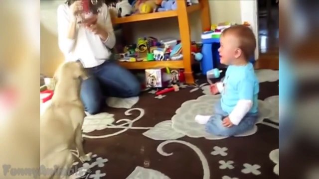 Dogs and Babies Playing With Bubbles Cute Compilation