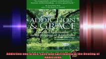 Addiction and Grace Love and Spirituality in the Healing of Addictions