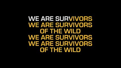 Selena Gomez Survivors karaoke lyrics