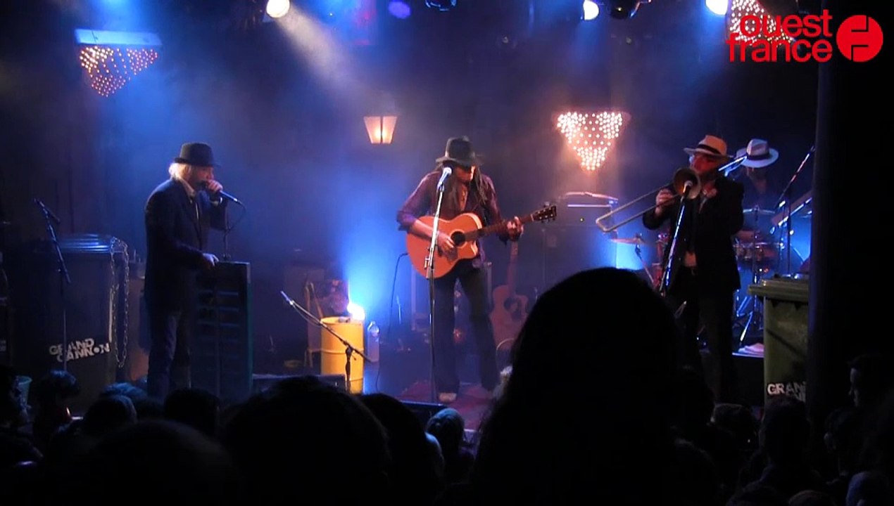 TransMusicales 2015 : Grand Cannon, concert pour les familles