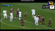 Miralem Pjanic Amazing Goal - Torino 0-1 Roma - Serie A  - 05.12.2015