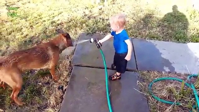 Dogs and Babies Playing with Hoses Compilation 2015 [NEW HD]