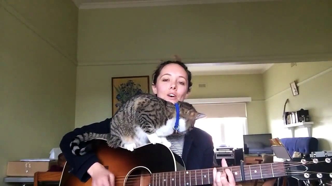 Без кота и песня не та_)