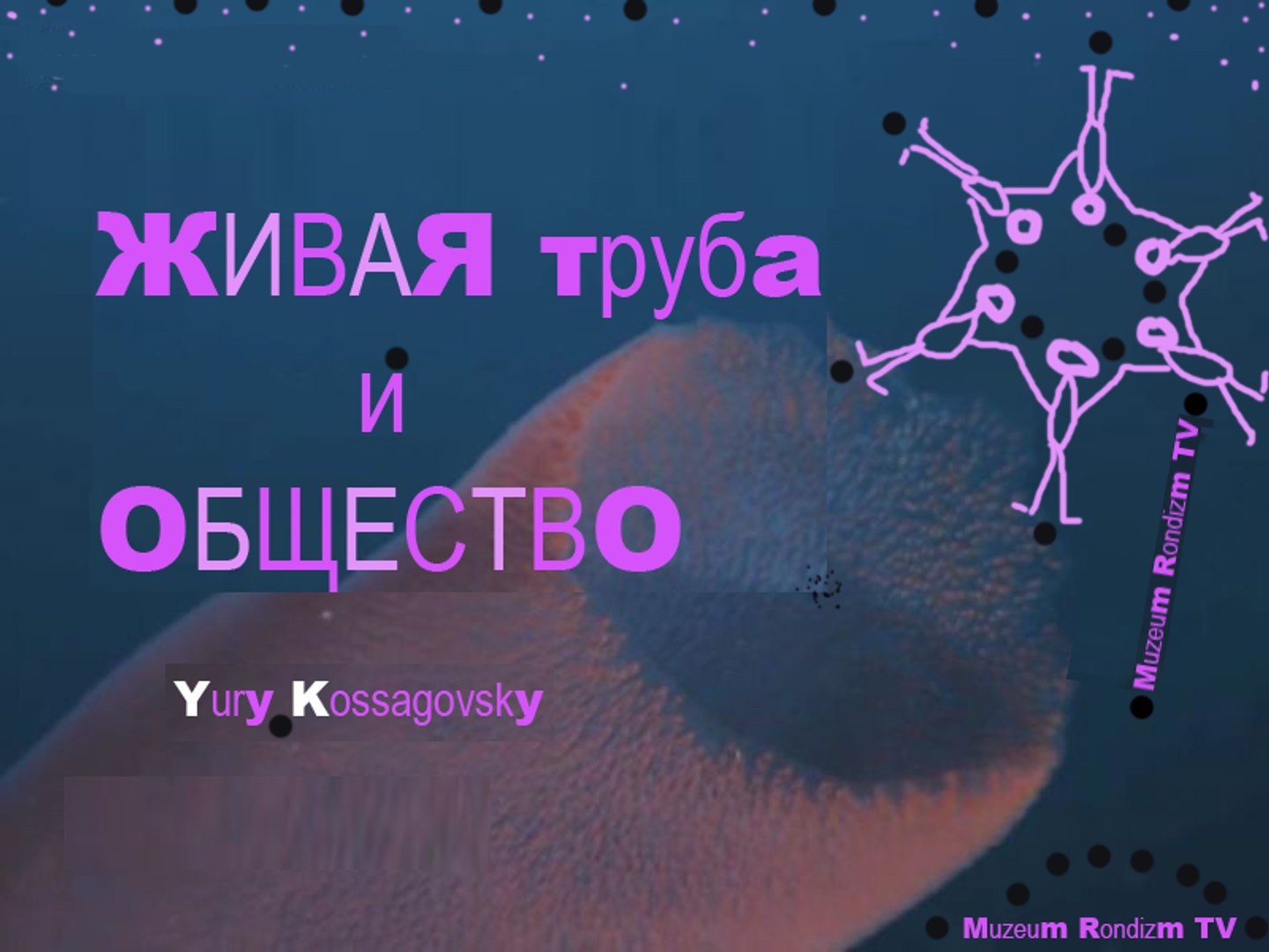 ⁣БИоЛОГИЯ человека и ГОСуДАРСТВА ***  платный просмотр ***
