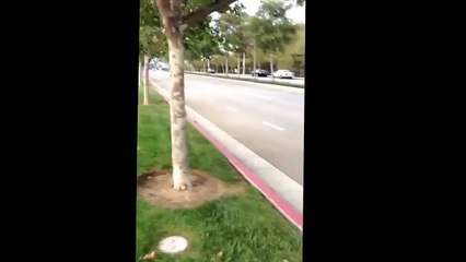 Un riverain en colère jette une pierre sur une Lamborghini !!