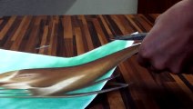 3D Drawing Shark/ Speed Painting an optical Illusion by Stefan Pabst