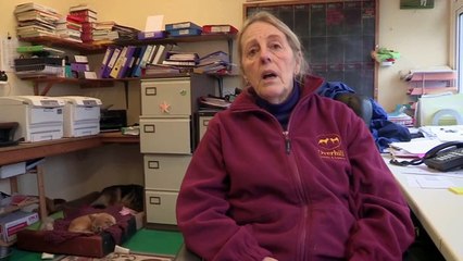 Fake Britain Series 6 03of10 720p