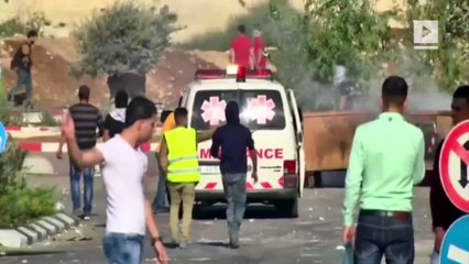 Israel slams Swedish foreign minister for 'extrajudicial execution’ accusation