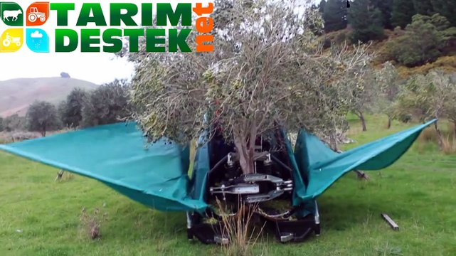 Zeytin Silkme ve Toplama Makinası