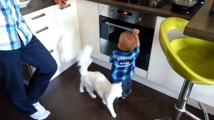 Cat Protects Baby From the Hot Stove