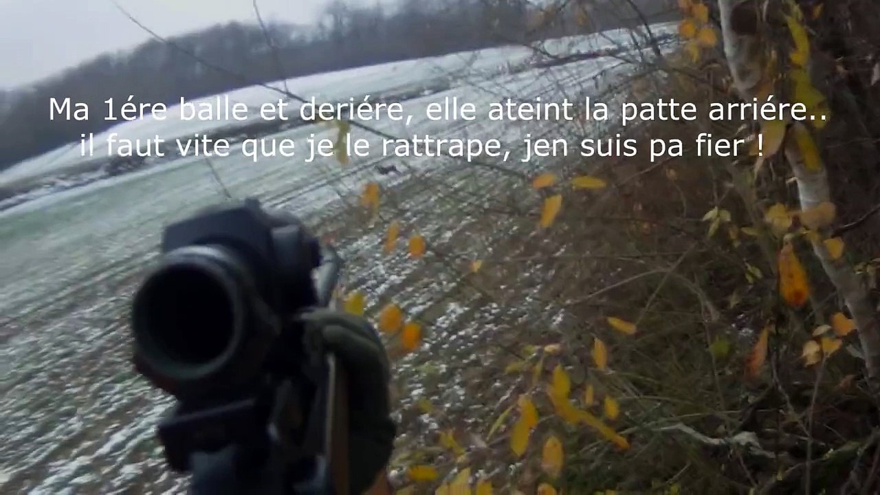 Chasse Merkel Rx Hélix Aimpoint Hunter Tir 2