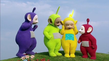 Teletubbies  231 Colour Black