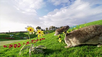 Teletubbies  48 Numbers 3