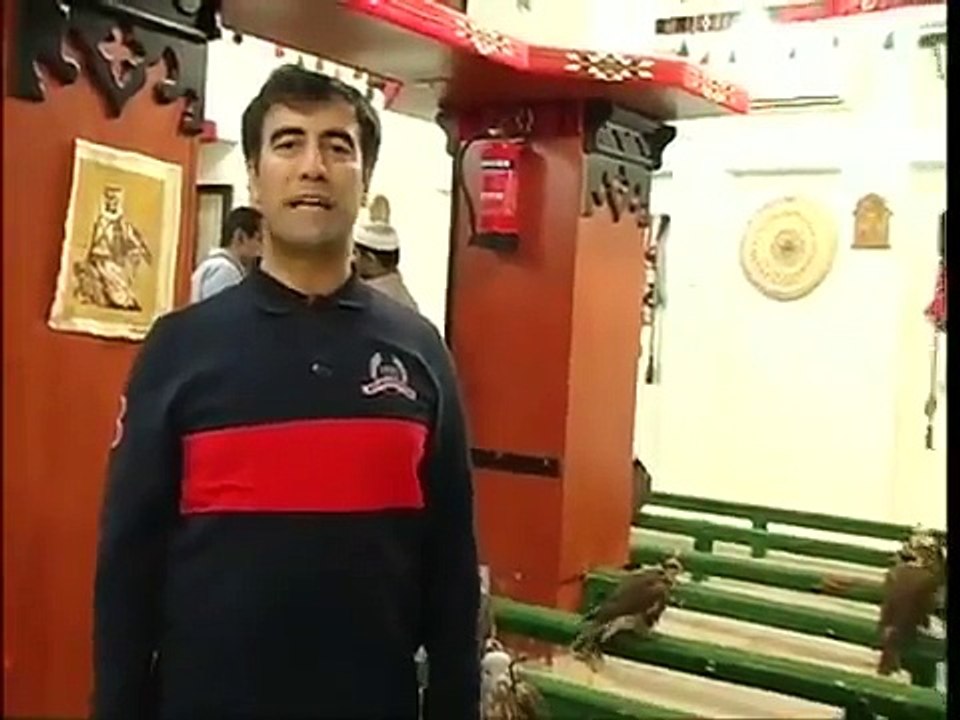 Katar tanıtım