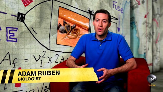 Bug Spray Kills Spider, Spawns Nightmare