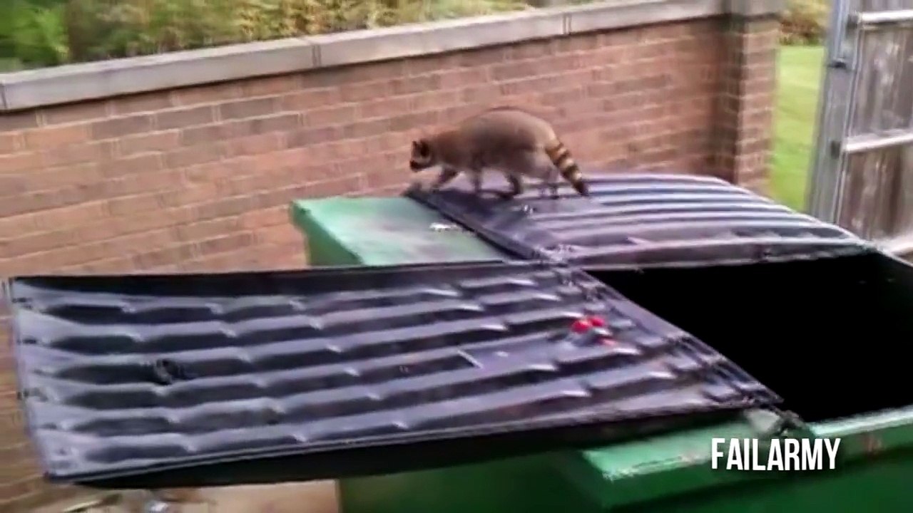 Best Fails of the Week 4 May 2013 || FailArmy
