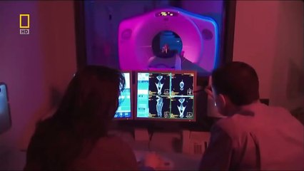 [ National Geographic ] Evolution Before Predators Pig - Nat Geo Wild HD