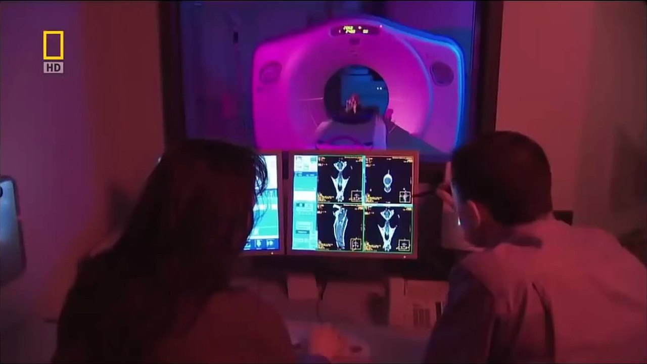 [ National Geographic ] Evolution Before Predators Pig - Nat Geo Wild HD