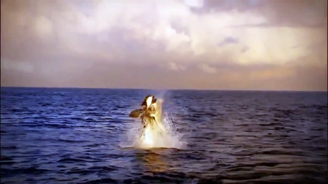 [Nat Geo Wild HD] Wild Kalahari HD (Nature Documentary)