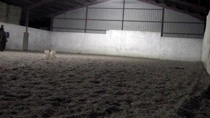 151203 Mise en selle sur Igor