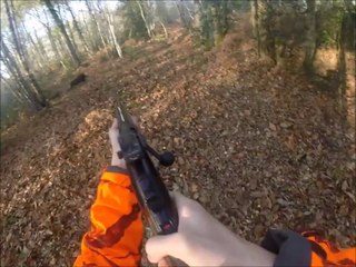 Tir d'un sanglier à 10 mètres!