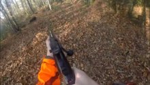 Tir d'un sanglier à 10 mètres!
