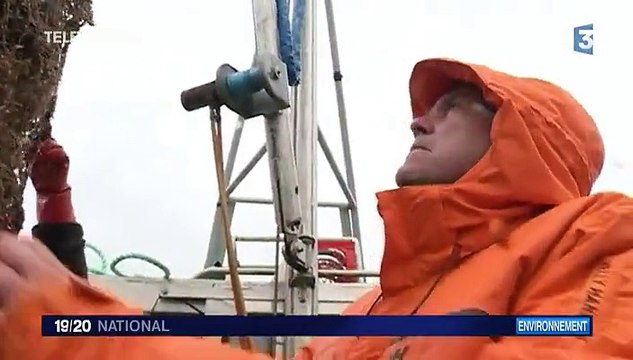 Environnement : l'acidification des océans, un danger pour la planète