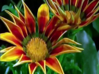 Caminhada sem rumo   Com Vinicius pacheco