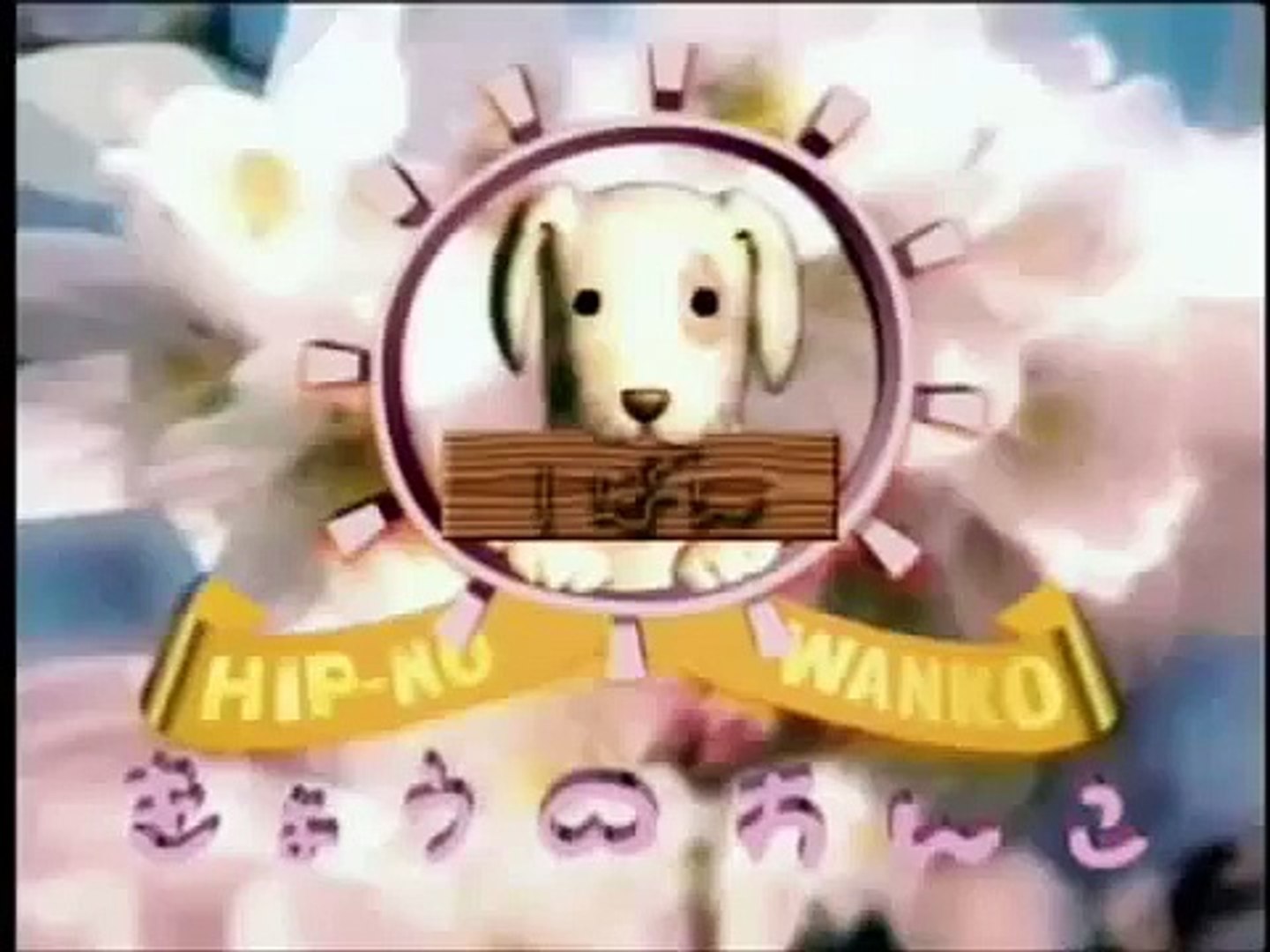 今日 の わんこ