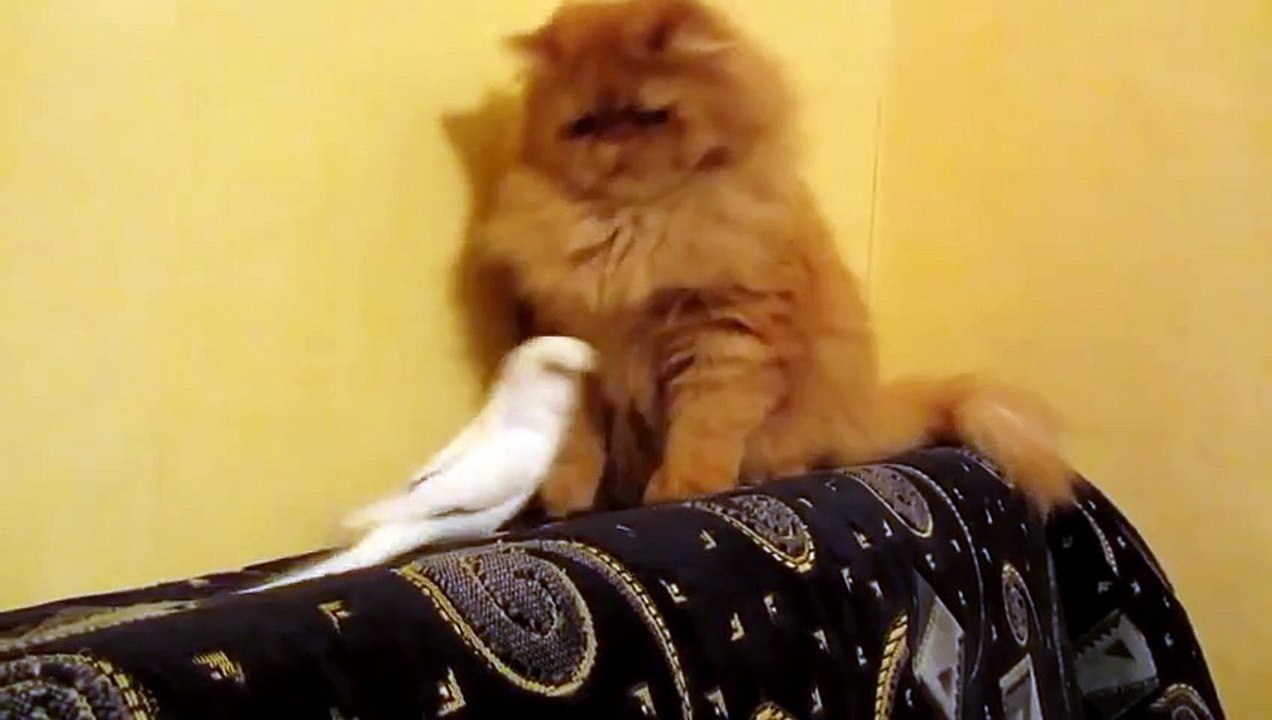 Нескучный собеседник!