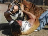 Lion Attack Friendly Powerful and Most Best Wild Animal Videos Full length BBC documentary 2015 Top 5 Wild Animal Attacks Lions DEADLY ATTACK on ANIMALS - Lions fighting to death Wild HQ Lions Most Powerful and Dangerous Attack on other Animals