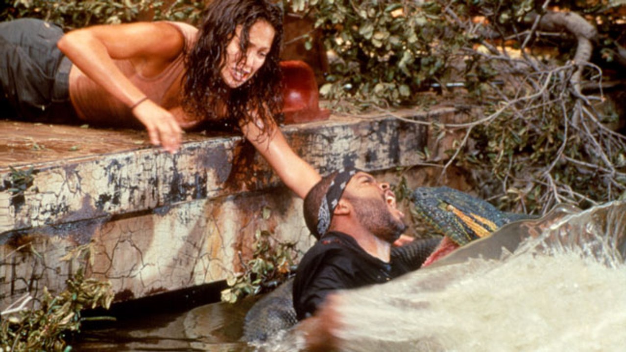 Lions Most Powerful and Dangerous Attacks Analysis Best Wild Animal Videos