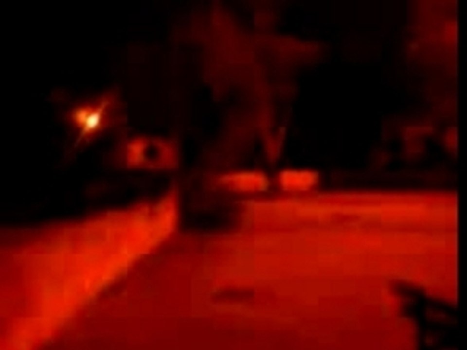 Deadd bush crew-dbc-danonino in a bush 1