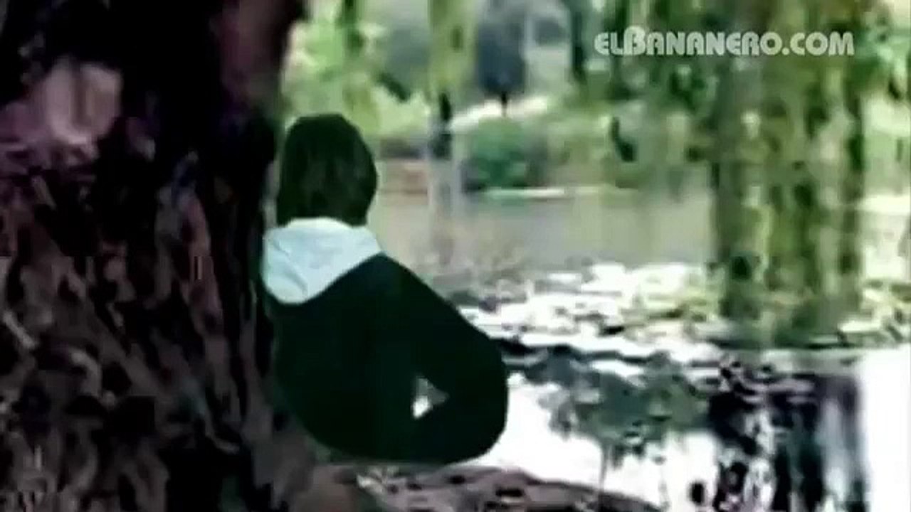 EL_BANANERO HARRY EL SUCIO POTTER VERSIN_OFICIAL HD