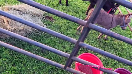 THEY PRANKED ME SO BAD!!