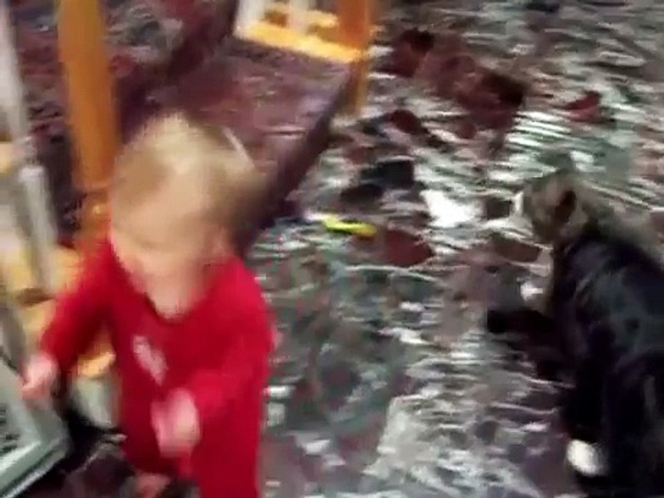 Ребенок играет с мейн куном