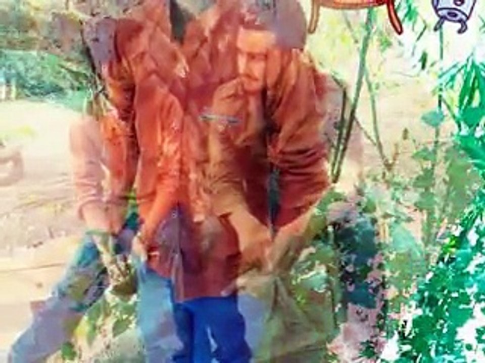 Saad Anwar