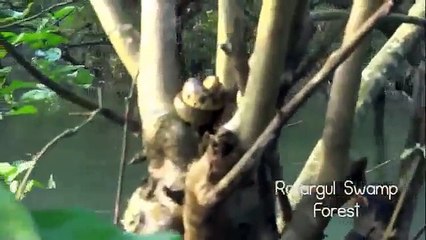 Stunning Natural Beauty Of earth