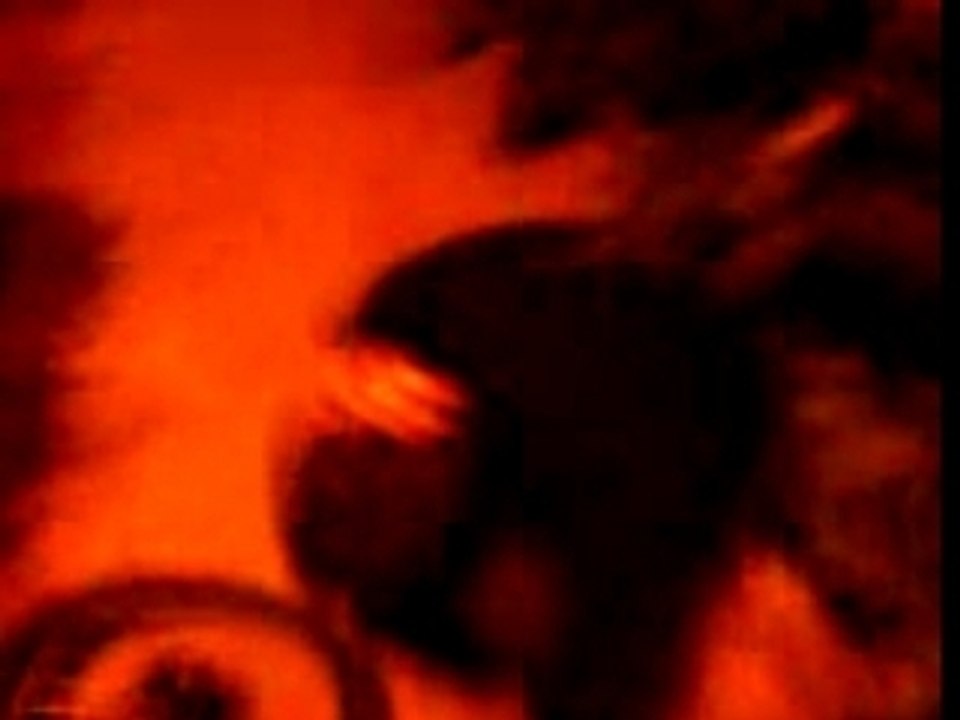 Deadd bush crew-dbc-ultimate danonino in a bush 3