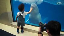 Yunus Balığı Çocukla Oyun Oynuyor