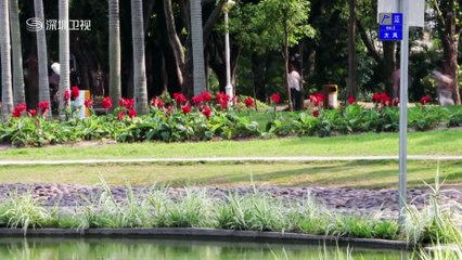 20151206 温暖在身边