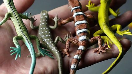 [HD] Hai Con Thằn Lằn Con - Nhạc Thiếu Nhi Hay Nhất - Giúp Bé Ăn Ngon Miệng