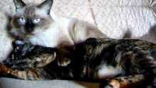 Tom & Mina